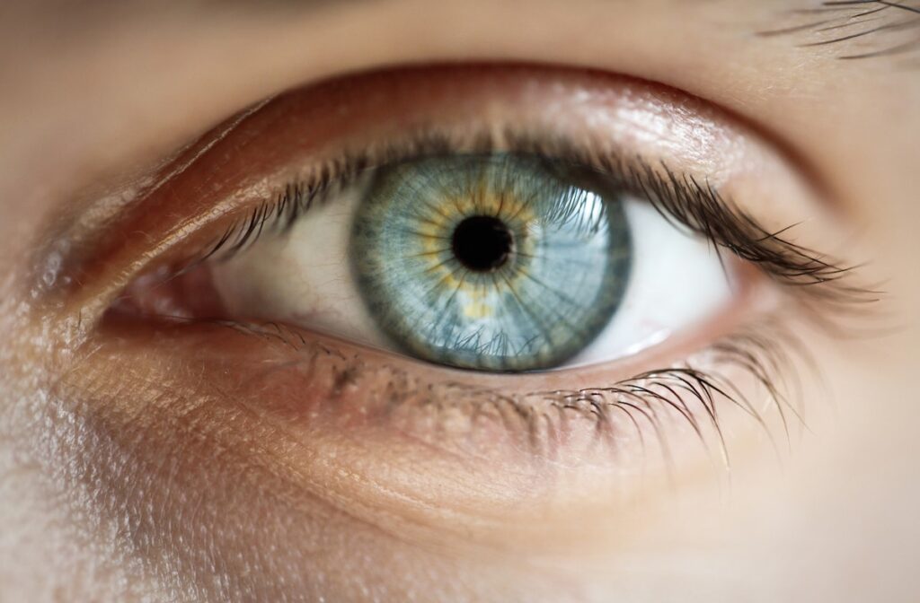 Sydney Eye Clinic: Eye Drop Misuse is Affecting the Sight of Many Australians
